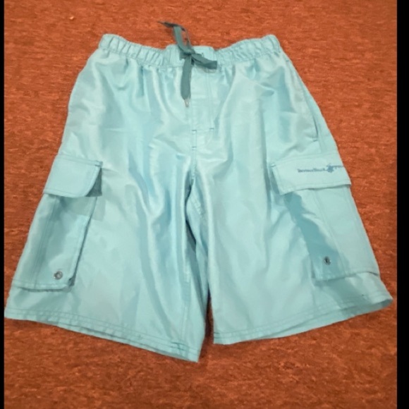 EUC Beverly Hills Polo Assn Turquoise Swim trunks shorts bottoms bathing suit L - Picture 1 of 3